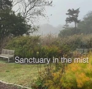 Tranquility Tuesday #28 Sanctuary in the mist