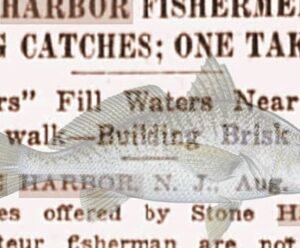 Stone Harbor Museum Minute #22 Fishing Tales