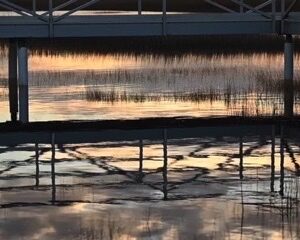 Tranquility Tuesday #38 Dawn at The Wetlands