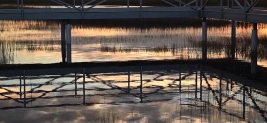 Tranquility Tuesday #38 Dawn at The Wetlands