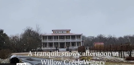 Tranquility Tuesday #49 Willow Creek