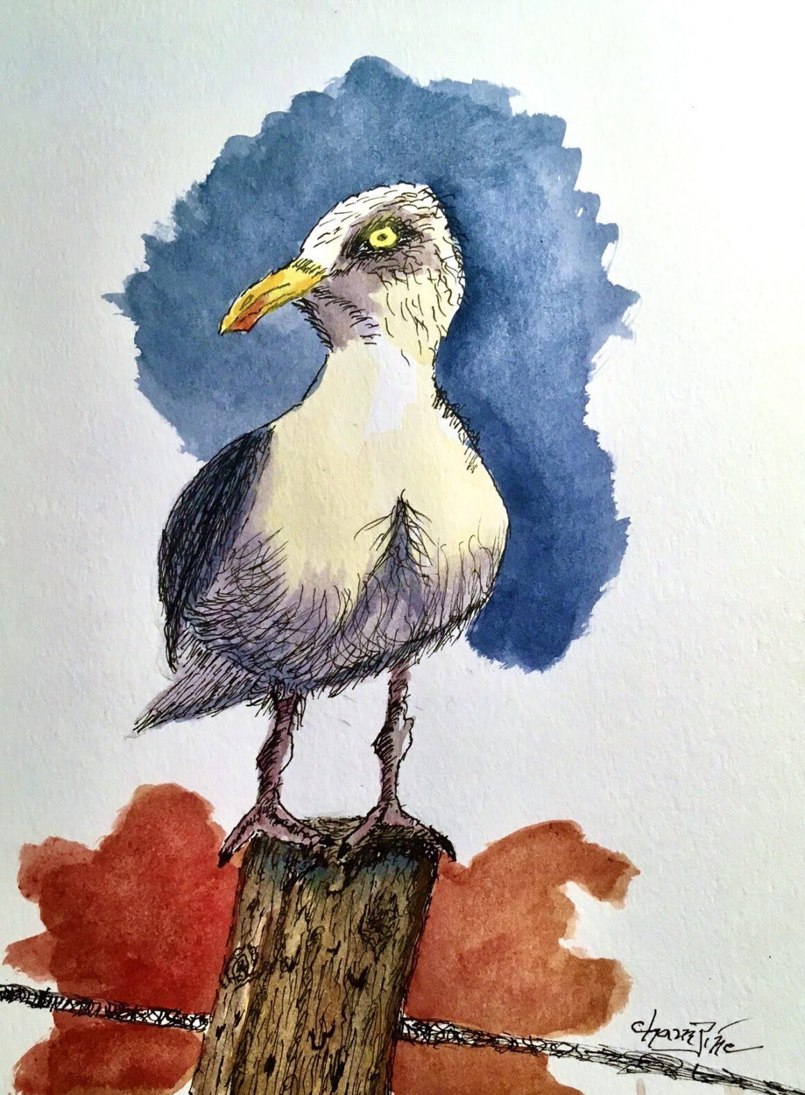 Second Place – #1 – Sea Gull – Frank Champine – Age 77