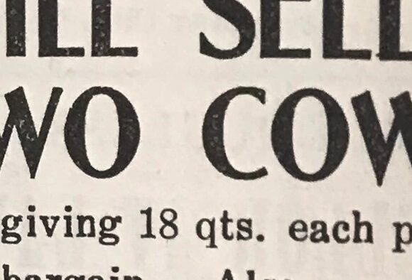 Stone Harbor Museum Minute #48 Some Old Newspaper Ads