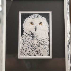 #5 – Snowy Owl – MaryAnne Raker – Adult