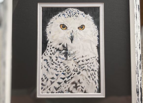 #5 – Snowy Owl – MaryAnne Raker – Adult