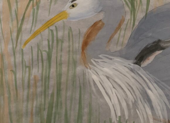 #6 – Great Blue Heron in the Wetlands – JoAnn Tutino – Adult #6 – Great Blue Heron in the Wetlands – JoAnn Tutino – Adult