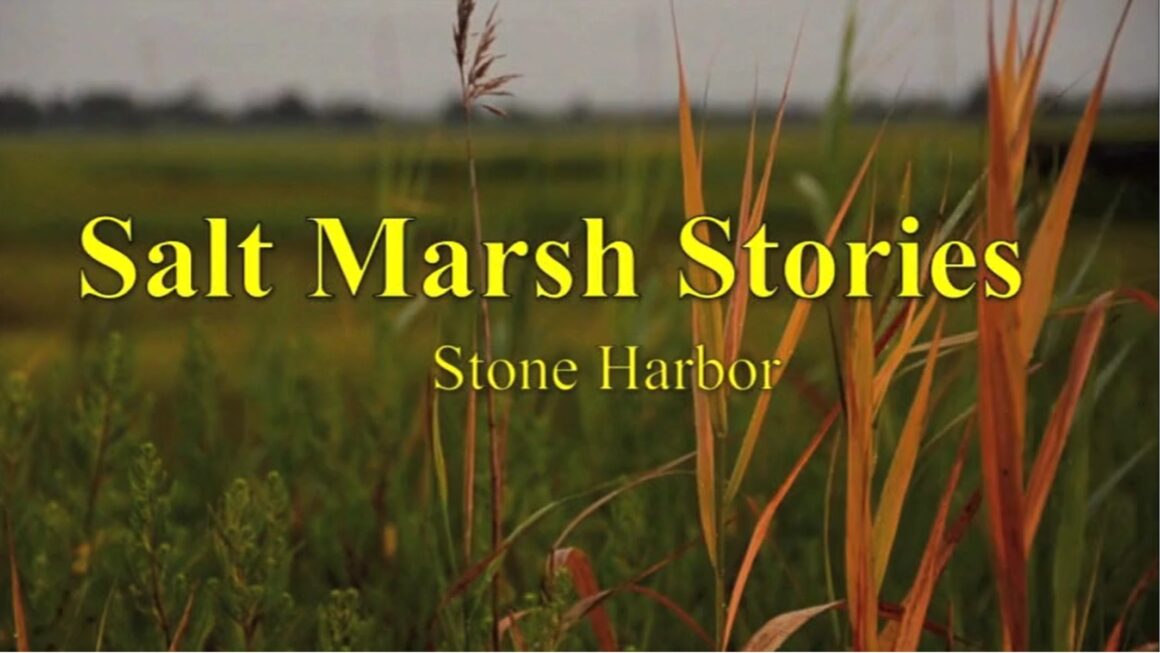 Stone Harbor Museum – DVD – Salt Marsh Stories