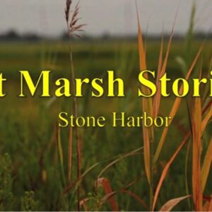 Stone Harbor Museum – DVD – Salt Marsh Stories