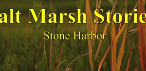 Salt Marsh Stories