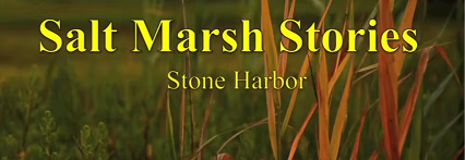 Salt Marsh Stories